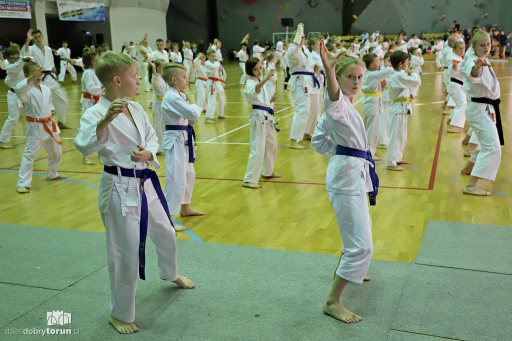 100 kata challenge w karate