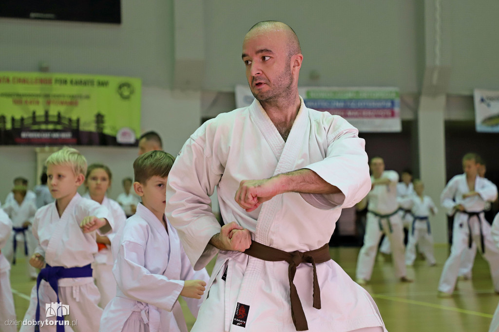 100 kata challenge w karate