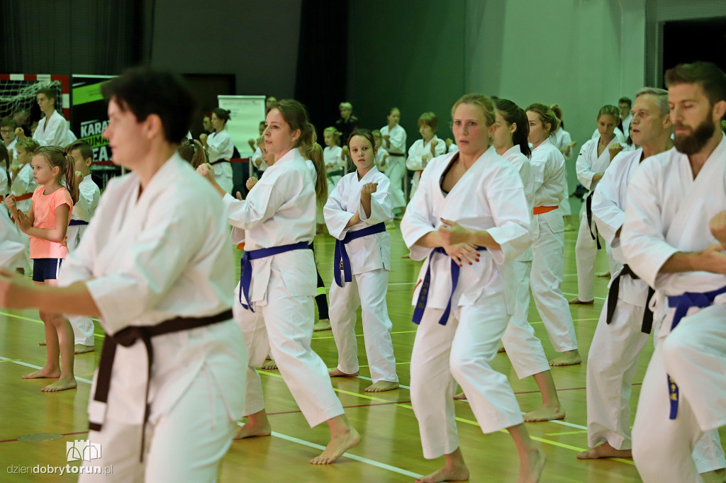100 kata challenge w karate