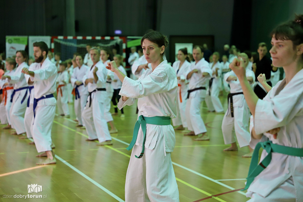 100 kata challenge w karate