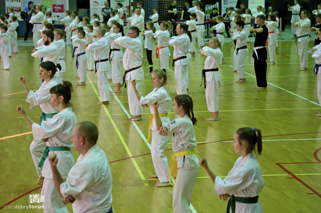 100 kata challenge w karate