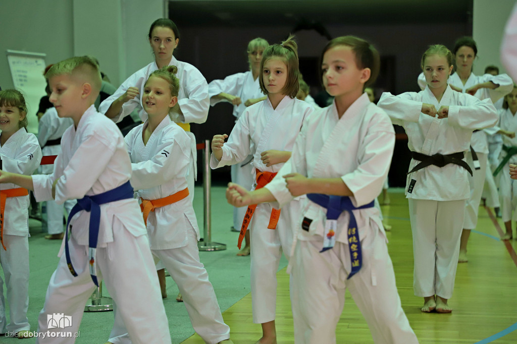 100 kata challenge w karate
