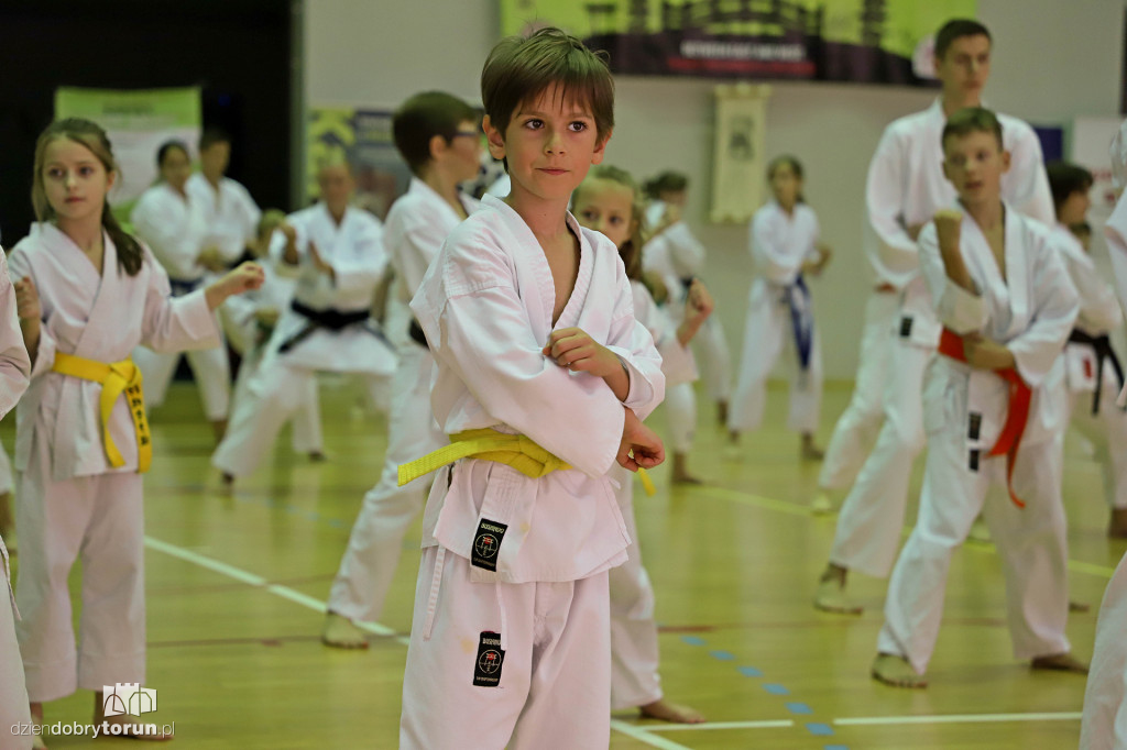 100 kata challenge w karate