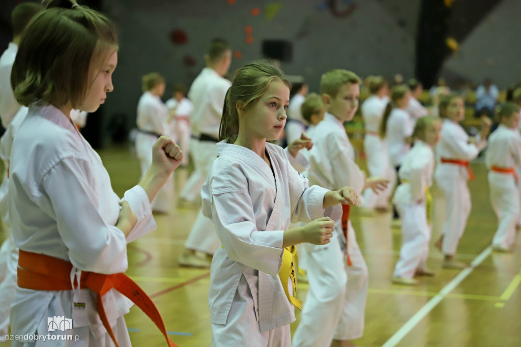 100 kata challenge w karate