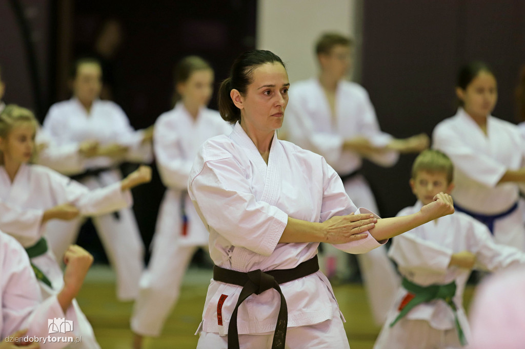 100 kata challenge w karate