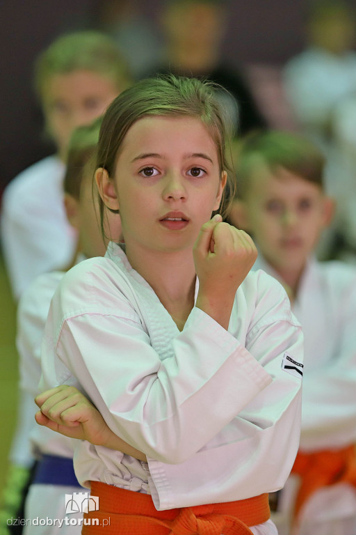 100 kata challenge w karate