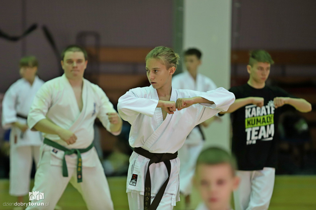 100 kata challenge w karate