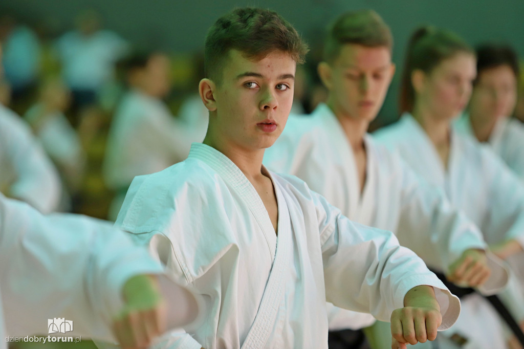 100 kata challenge w karate