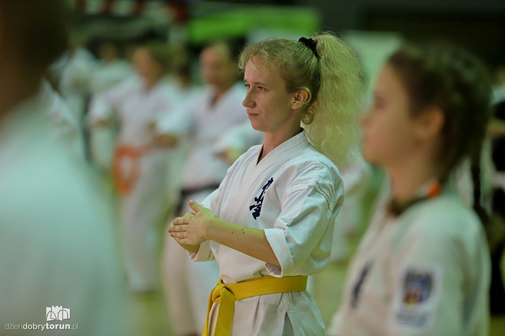 100 kata challenge w karate