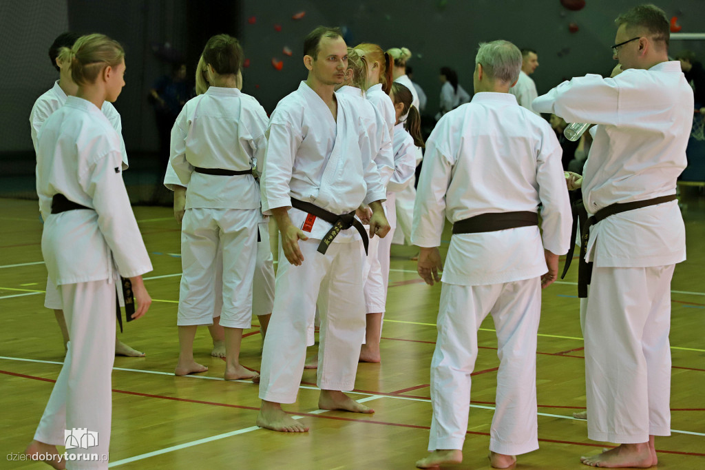 100 kata challenge w karate