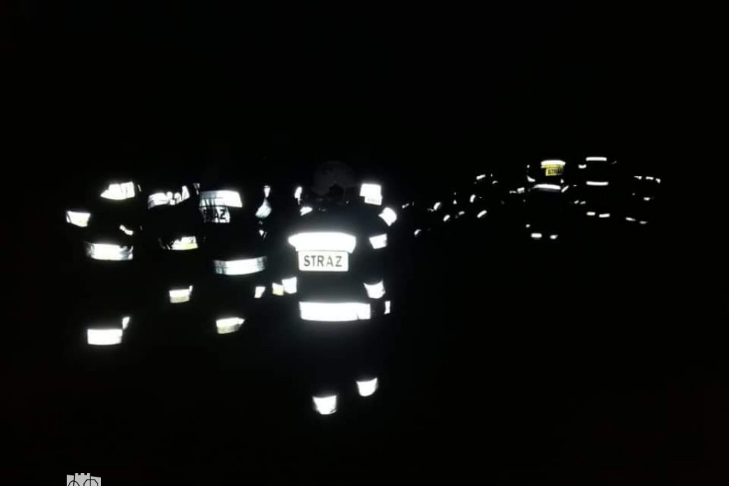 Poszukiwania grzybiarza w Puszczy Bydgoskiej
