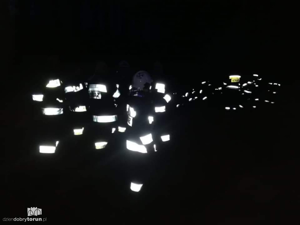 Poszukiwania grzybiarza w Puszczy Bydgoskiej
