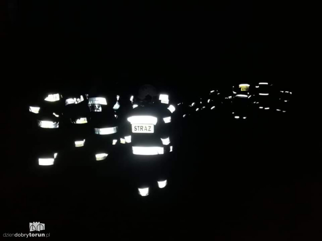 Poszukiwania grzybiarza w Puszczy Bydgoskiej
