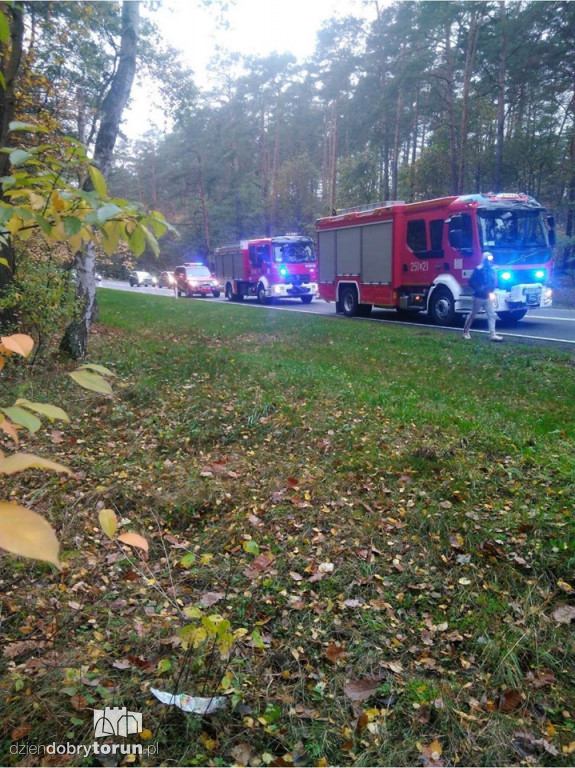 Wypadek na DK10 koło Solca Kujawskiego