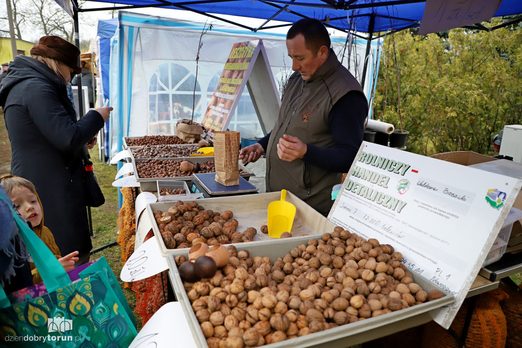 Festiwal Gęsiny w Przysieku