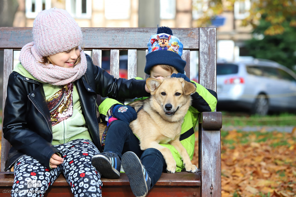 Toruński marsz adopciaków