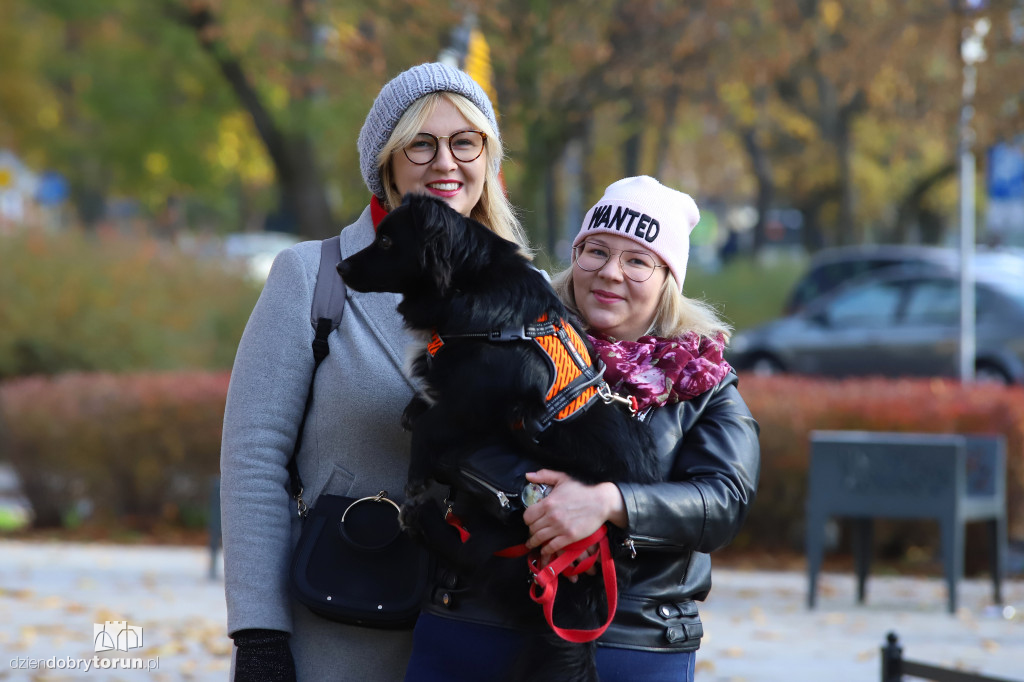 Toruński marsz adopciaków
