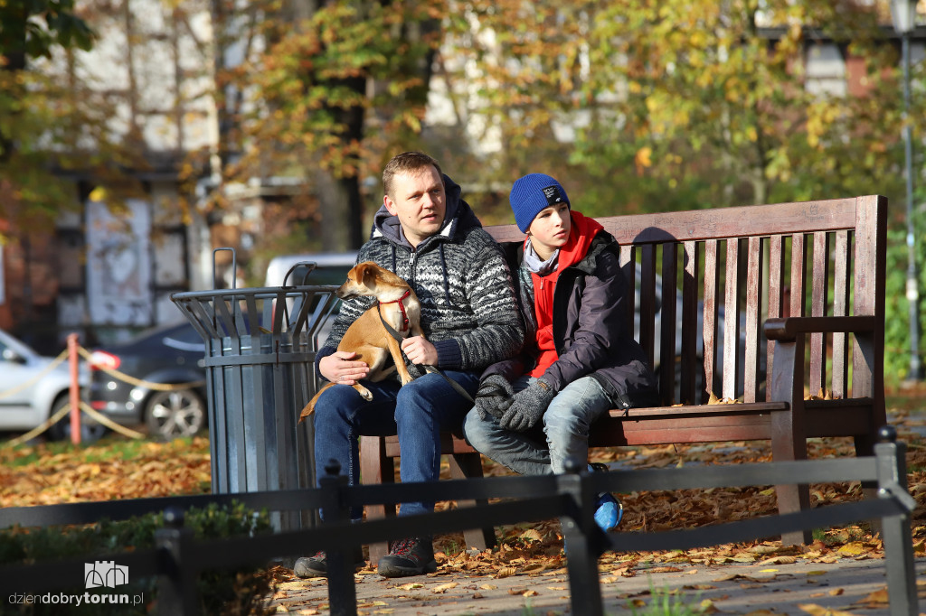 Toruński marsz adopciaków