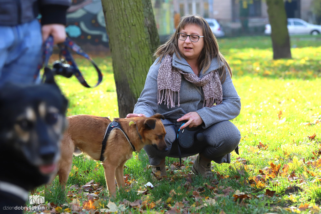 Toruński marsz adopciaków