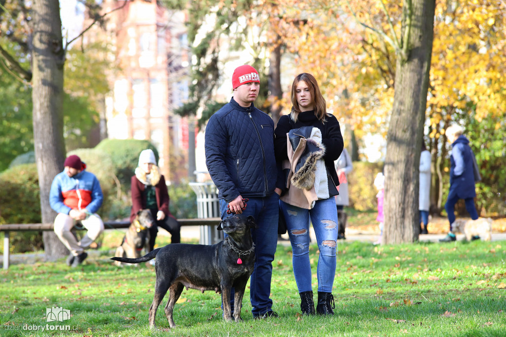 Toruński marsz adopciaków