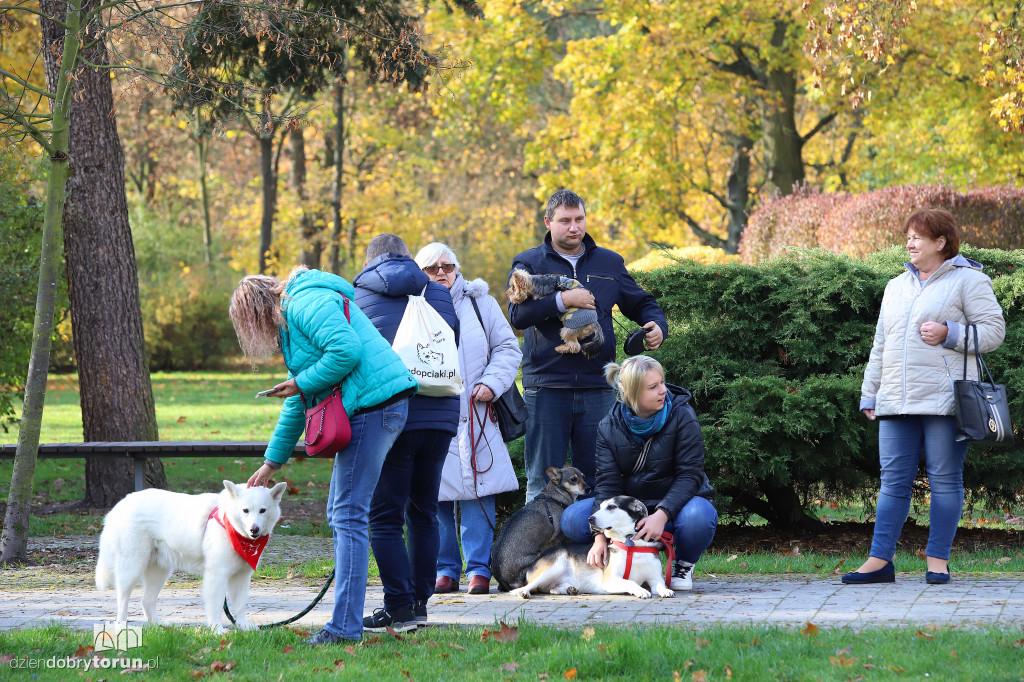 Toruński marsz adopciaków