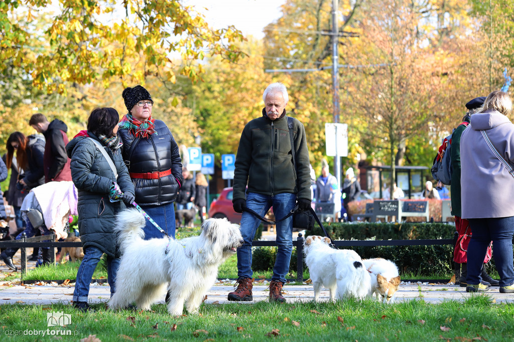 Toruński marsz adopciaków