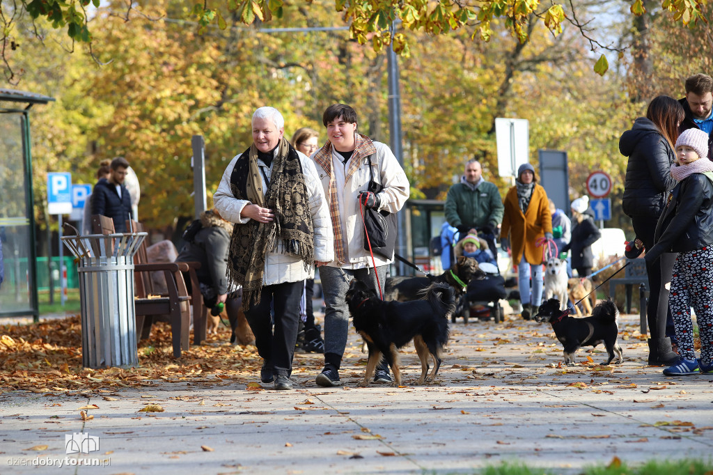 Toruński marsz adopciaków