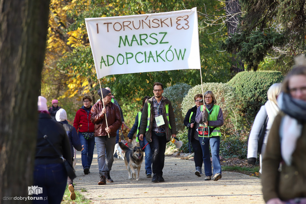 Toruński marsz adopciaków