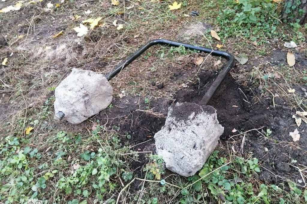 Syf i brud na Bydgoskim Przedmieściu i Osiedlu Młodych