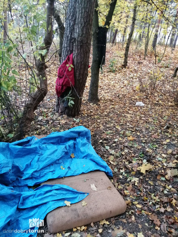 Syf i brud na Bydgoskim Przedmieściu i Osiedlu Młodych