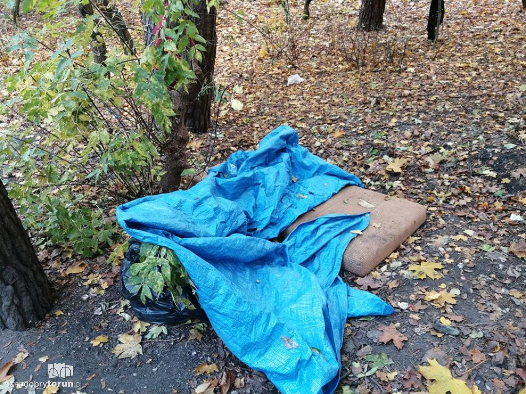 Syf i brud na Bydgoskim Przedmieściu i Osiedlu Młodych