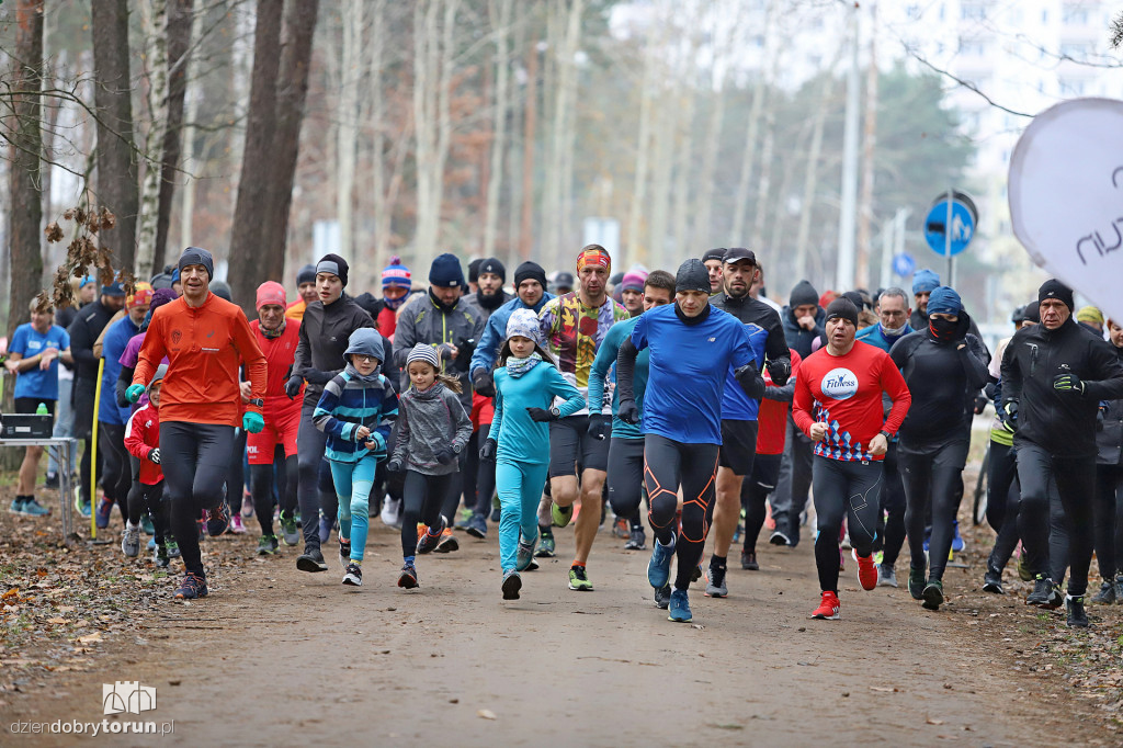 Parkrun Toruń #228. Tak biegano na Skarpie