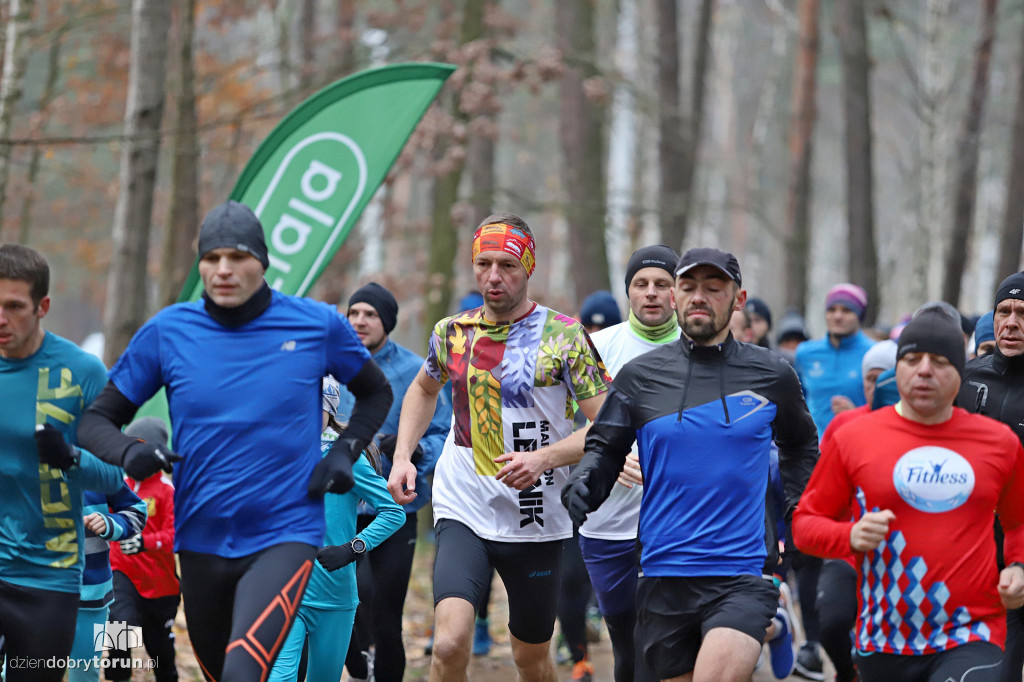 Parkrun Toruń #228. Tak biegano na Skarpie