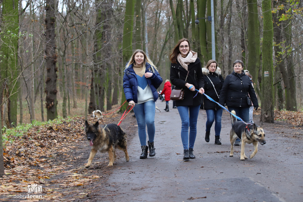 Wyprowadź psa! Mikołajkowo po Bydgoskim