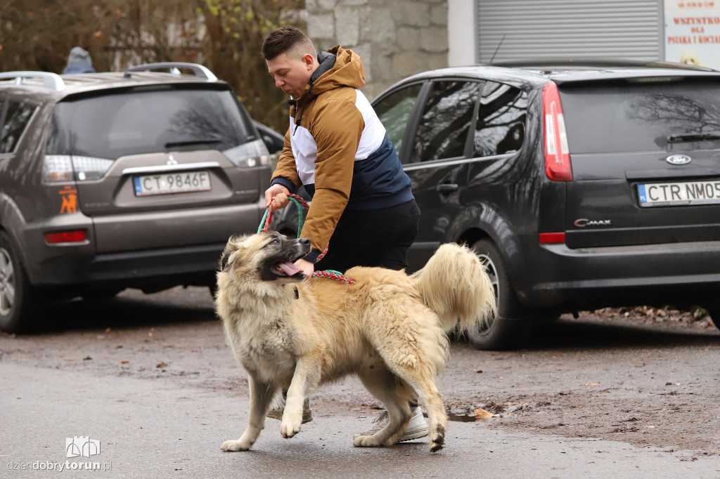 Wyprowadź psa! Mikołajkowo po Bydgoskim