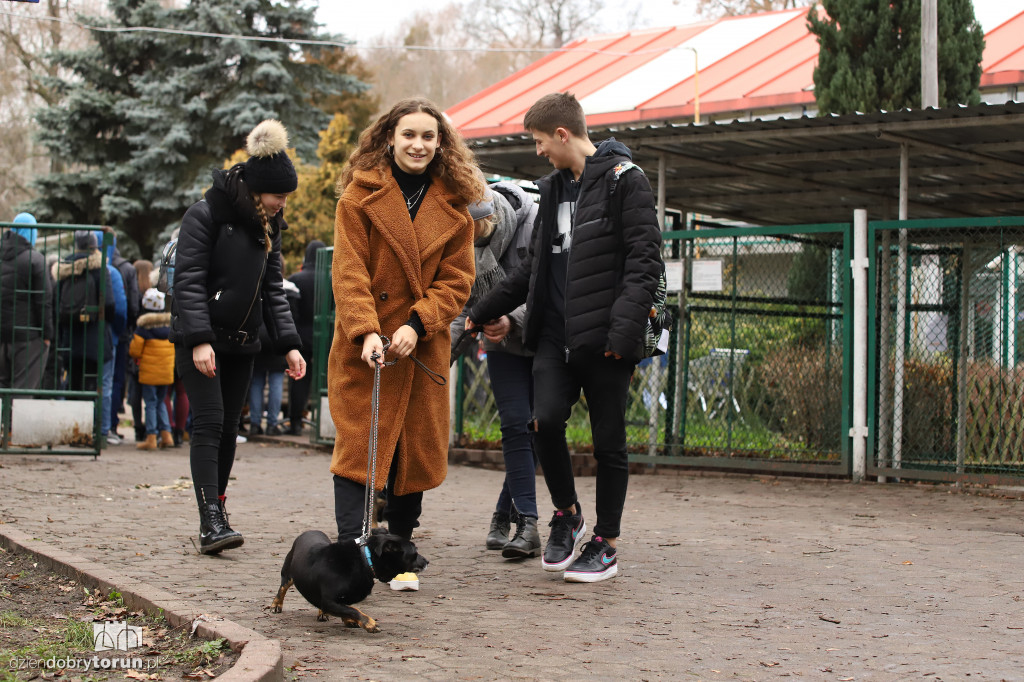 Wyprowadź psa! Mikołajkowo po Bydgoskim