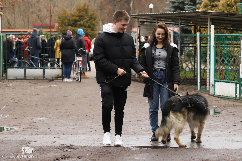 Wyprowadź psa! Mikołajkowo po Bydgoskim