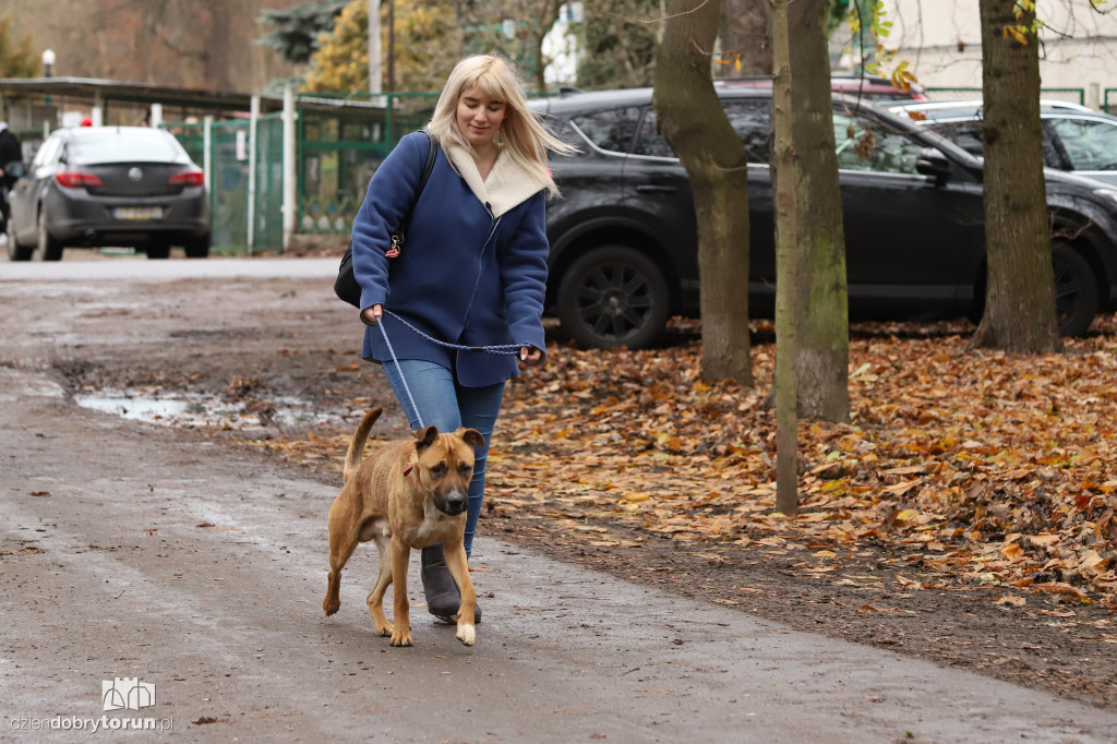 Wyprowadź psa! Mikołajkowo po Bydgoskim