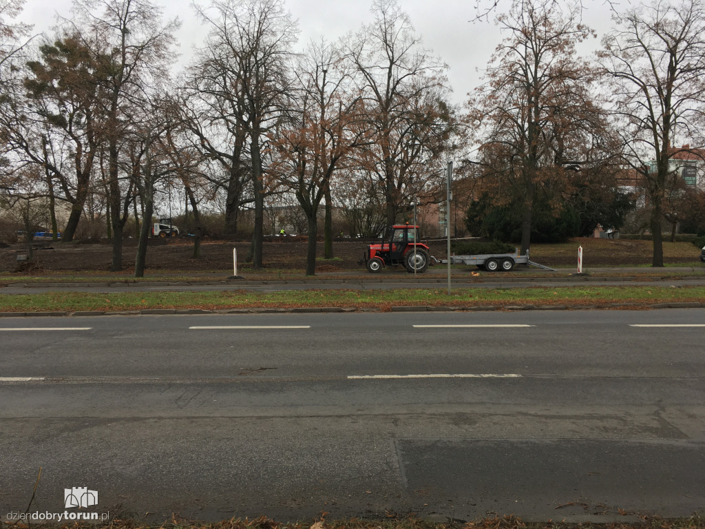 Toruń: wycięto lipy w alei Św. Jana Pawła II