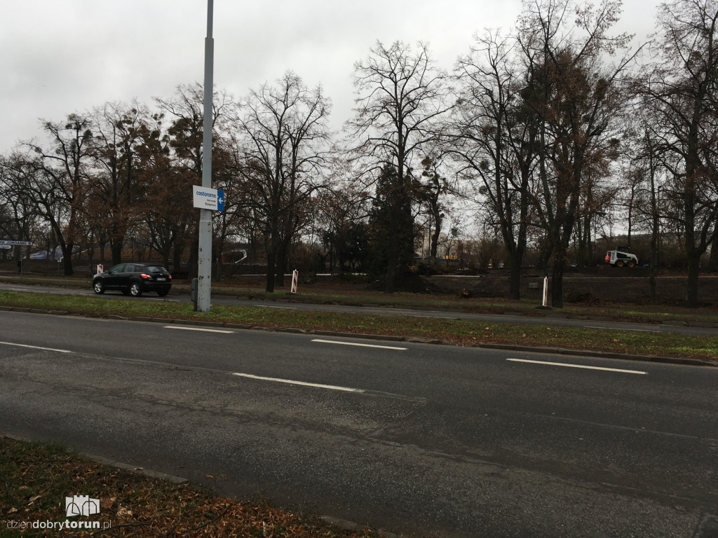 Toruń: wycięto lipy w alei Św. Jana Pawła II