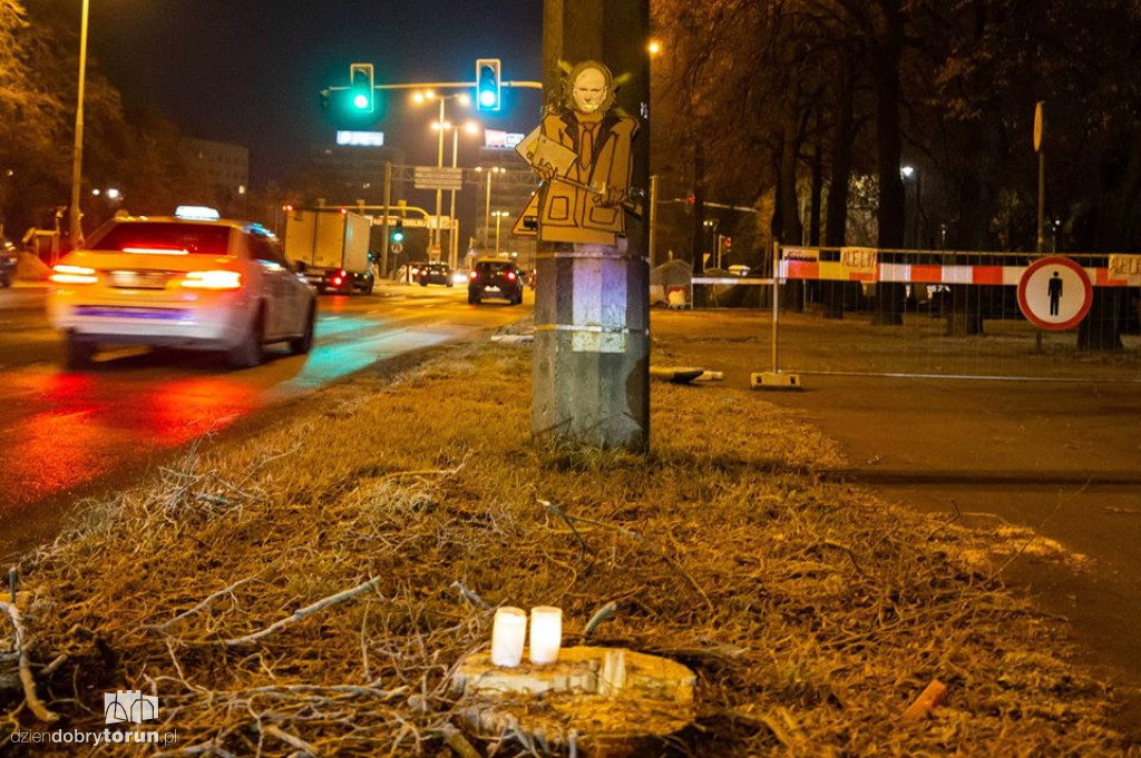 Akcja mieszkańców po wycince drzew obok starówki
