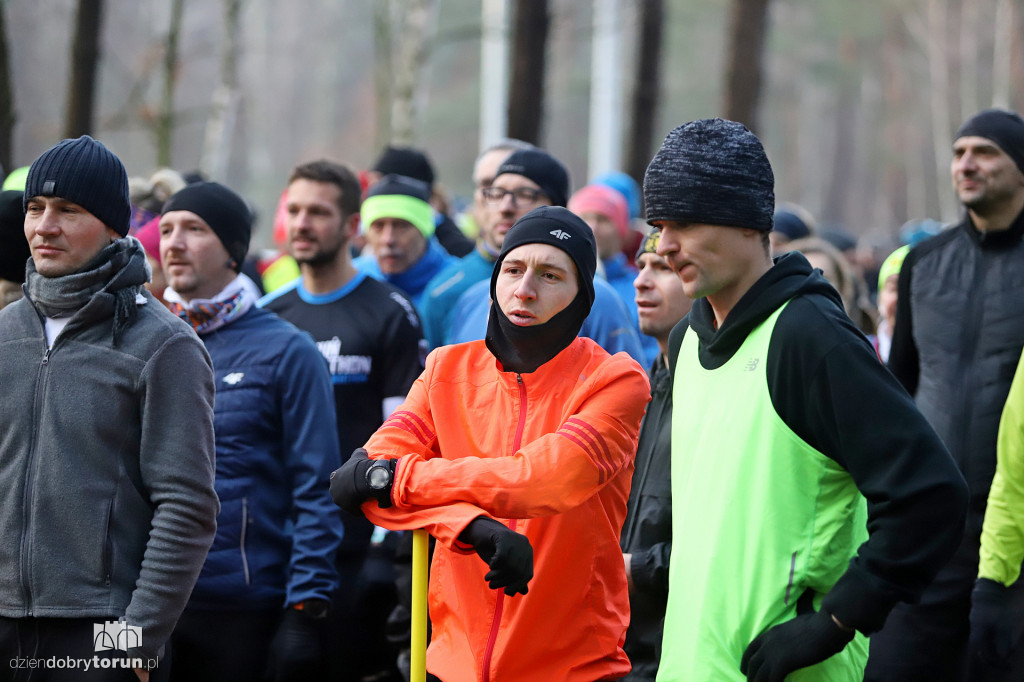 parkrun Toruń #231