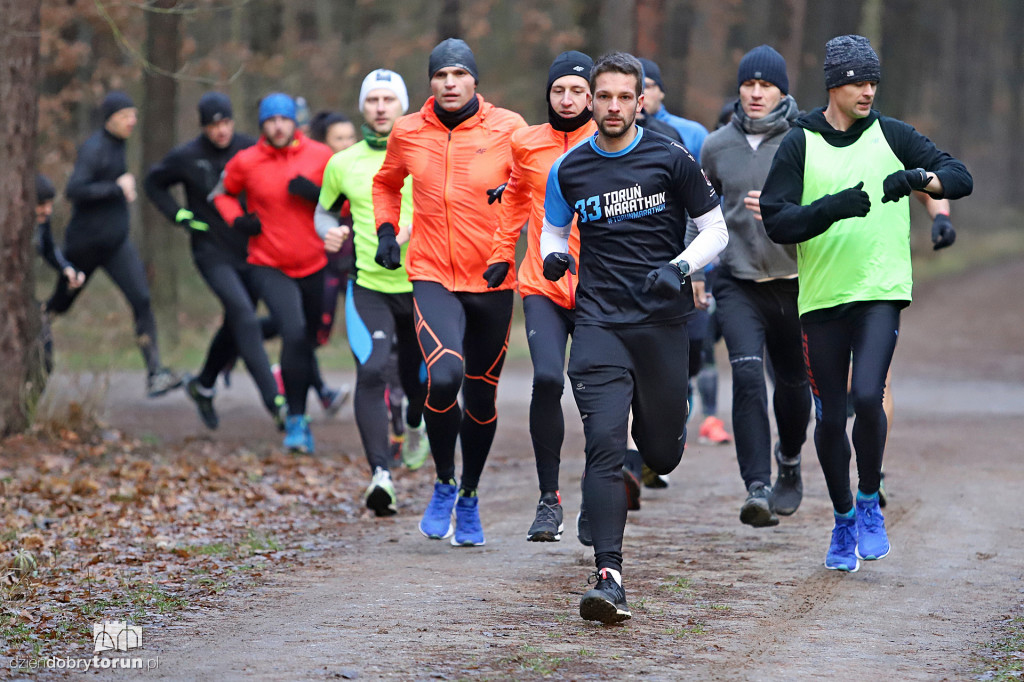parkrun Toruń #231