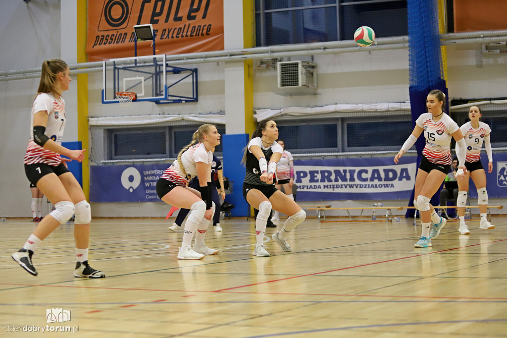 Budowlani Toruń 1:3 ENEA Energetyk Poznań