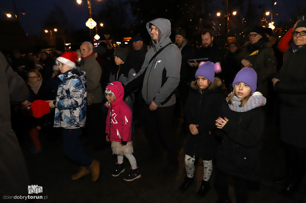 Iluminacja choinki pod urzędem marszałkowskim