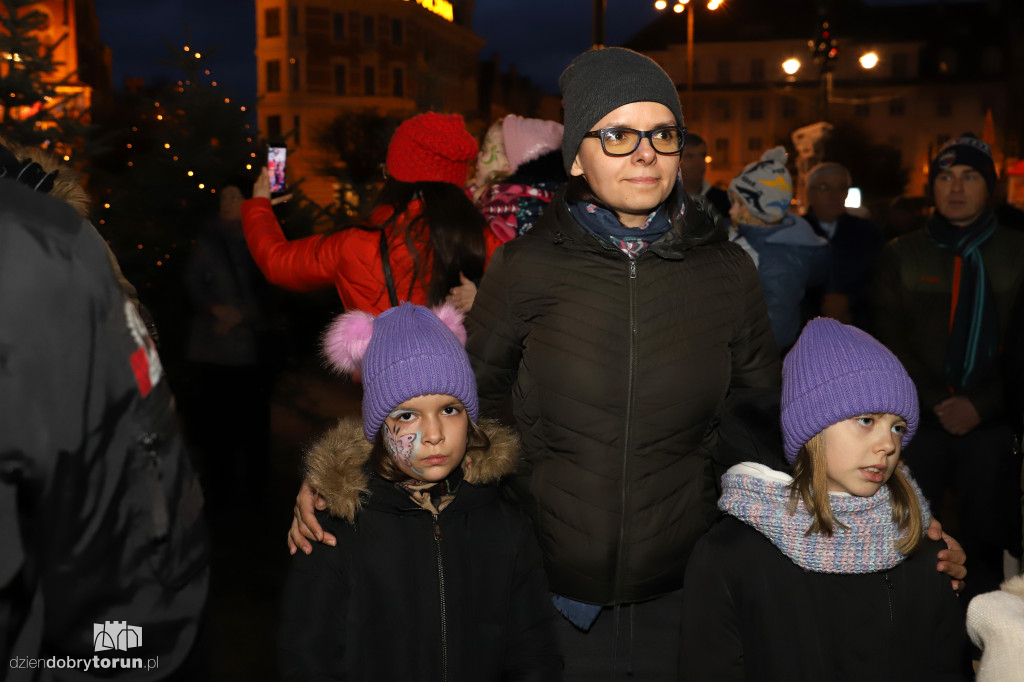 Iluminacja choinki pod urzędem marszałkowskim