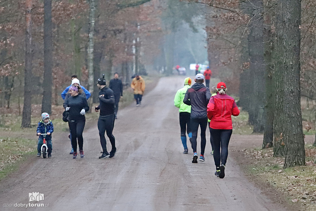 parkrun Toruń #232 - tak biegano w sobotę