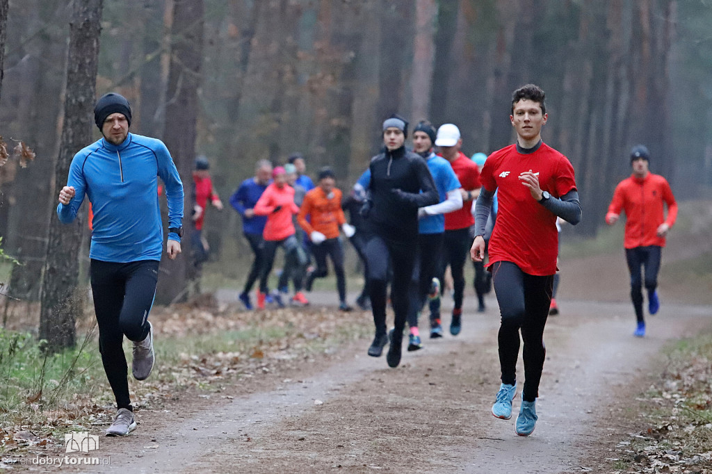 parkrun Toruń #232 - tak biegano w sobotę