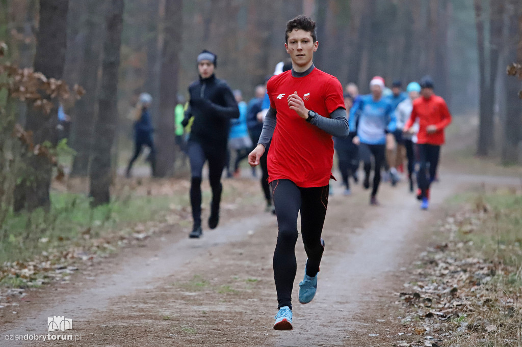 parkrun Toruń #232 - tak biegano w sobotę