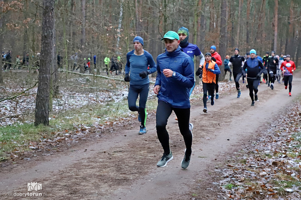 parkrun Toruń #234